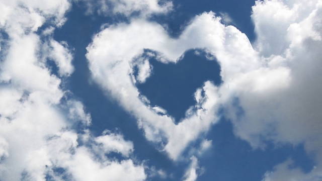 恭喜，你的草坪升级了！开启自动修剪时代